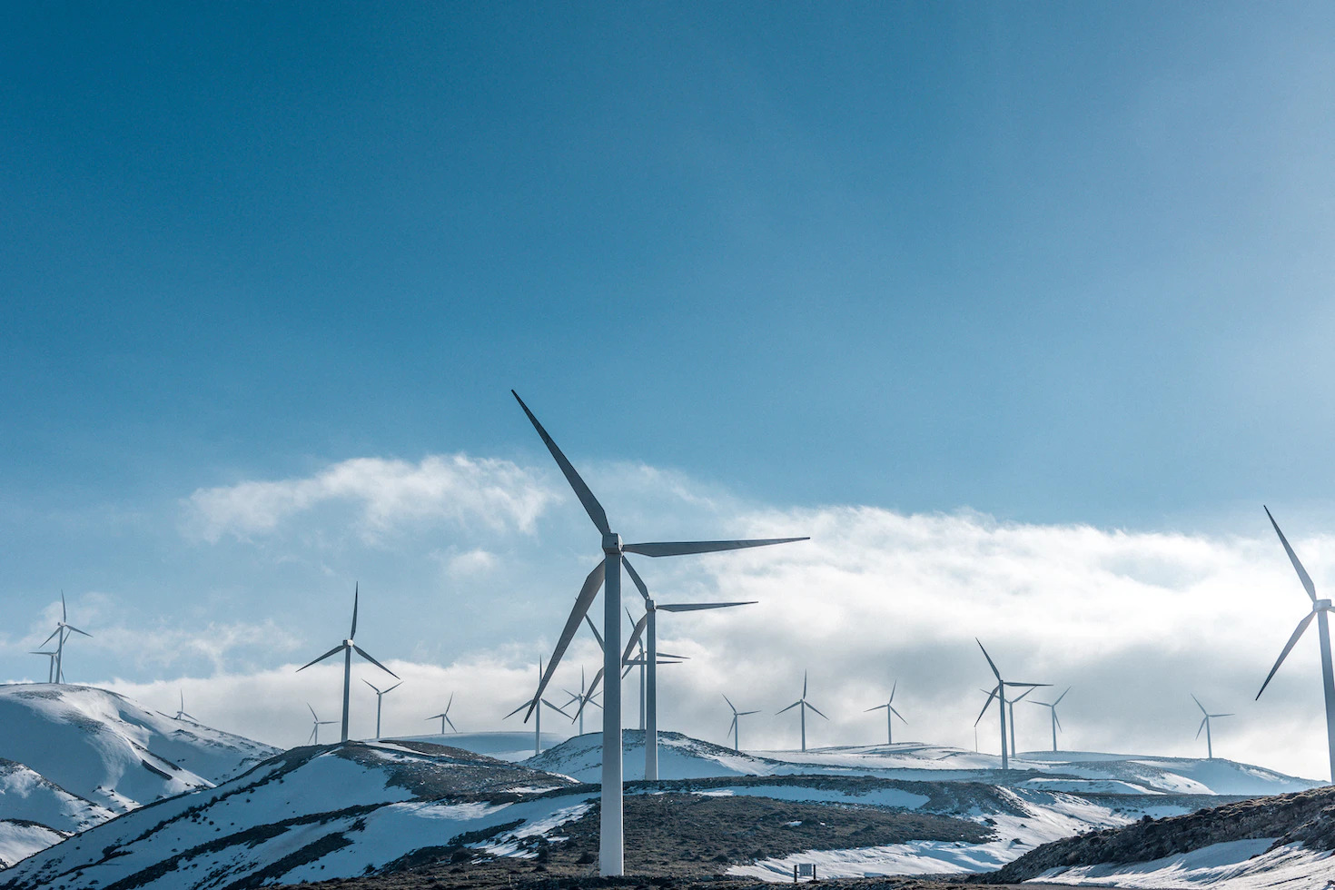 Windmill Farm